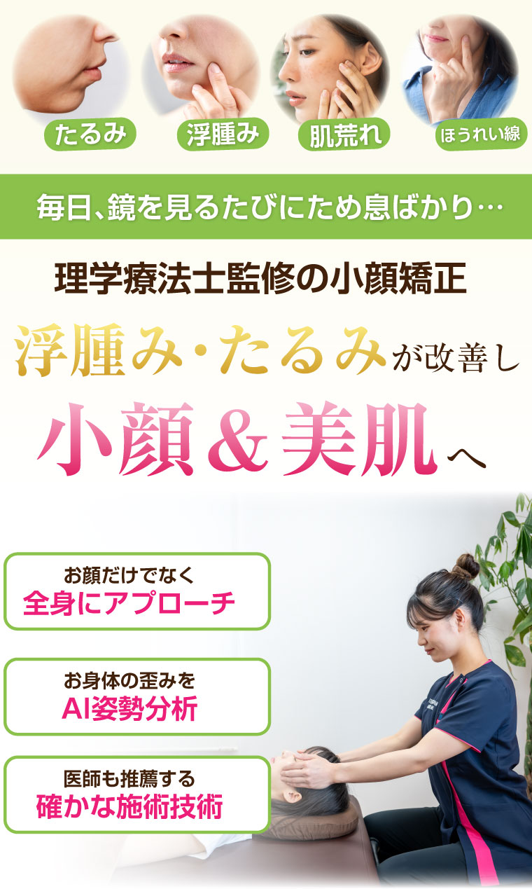 木更津のダイエット専門院 wellnessfit-step