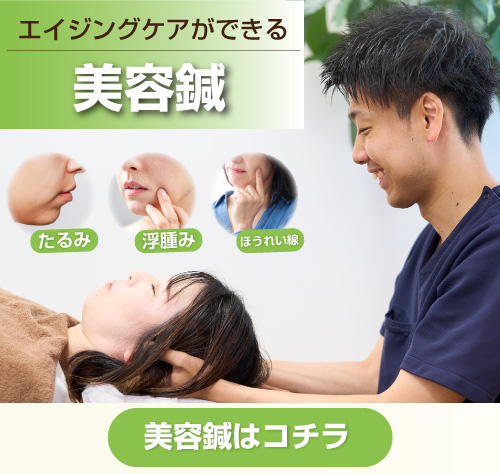 木更津のダイエット専門院 wellnessfit-step