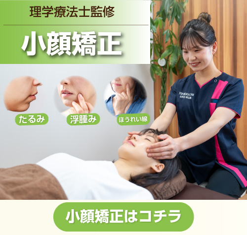 木更津のダイエット専門院 wellnessfit-step