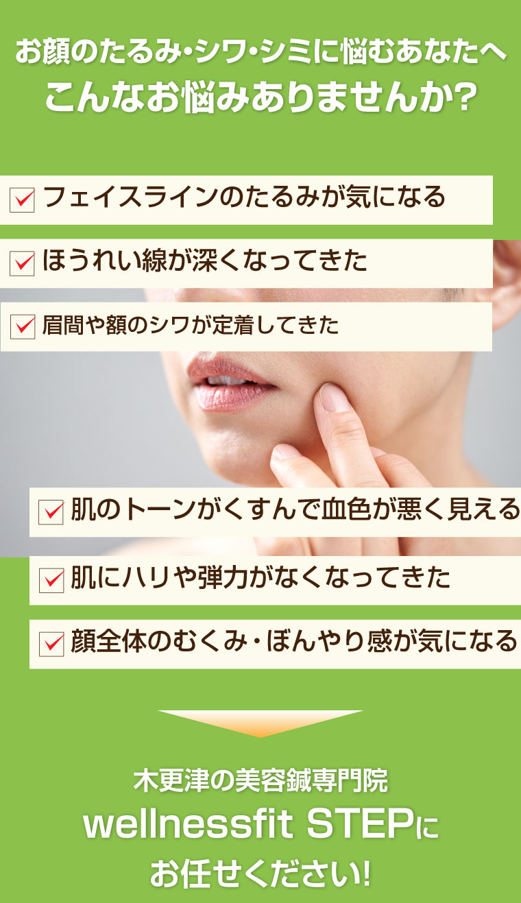 木更津のダイエット専門院 wellnessfit-step