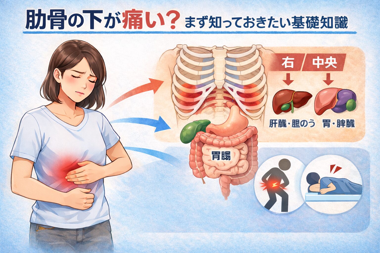 肋骨の下が痛い原因と対処法｜症状別に原因を解説＋セルフチェック＆受診の目安 - ステップ木更津鍼灸治療院 木更津市で鍼灸整体治療院なら《医療 ...